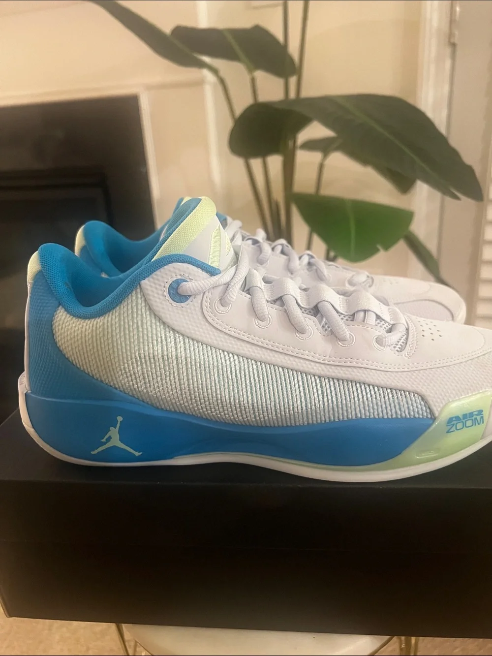 Jordan Men’s White Blue Green Low-Top Sneakers
